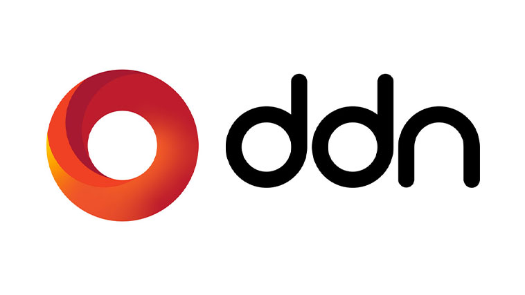 DDN logo